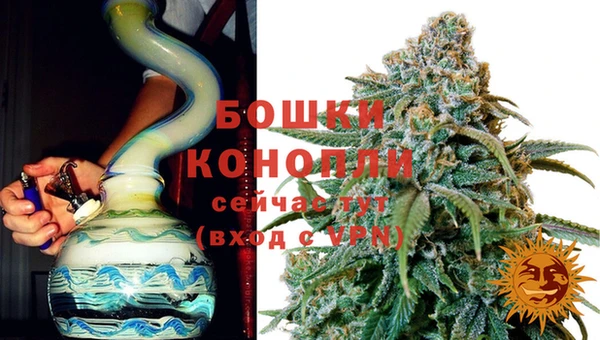 дживик Аркадак
