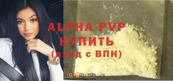 стафф Арсеньев