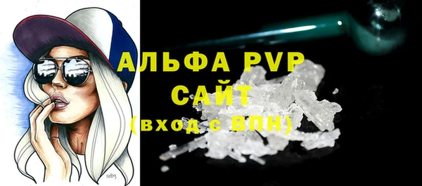 стафф Арсеньев