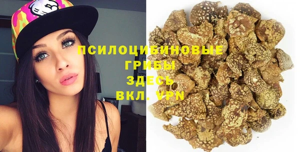 стафф Арсеньев
