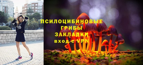 дмт Армянск